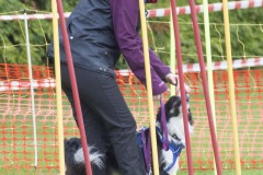DSC_2320COR