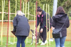 DSC_2379cor