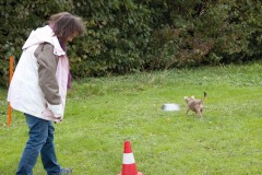 DSC_2488cor